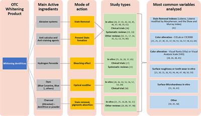 Effectiveness and Adverse Effects of Over-the-Counter Whitening Products on Dental Tissues